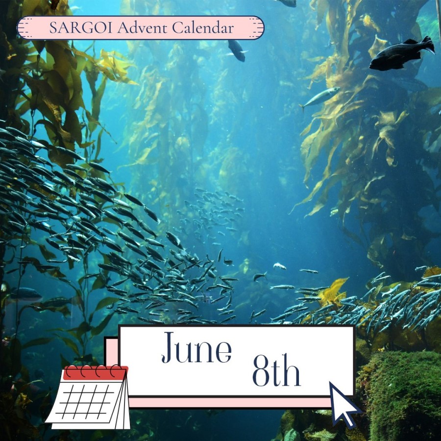Oceans Day